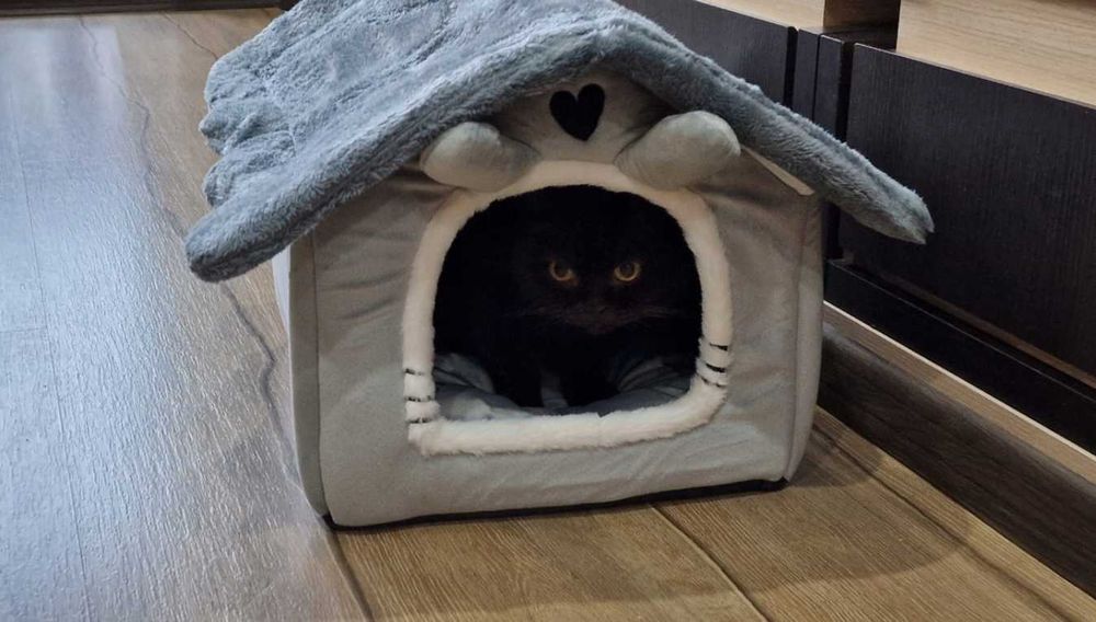 Legowisko Dla Kota Kotów Domek Budka Kojec Pluszowy Poduszka Buda