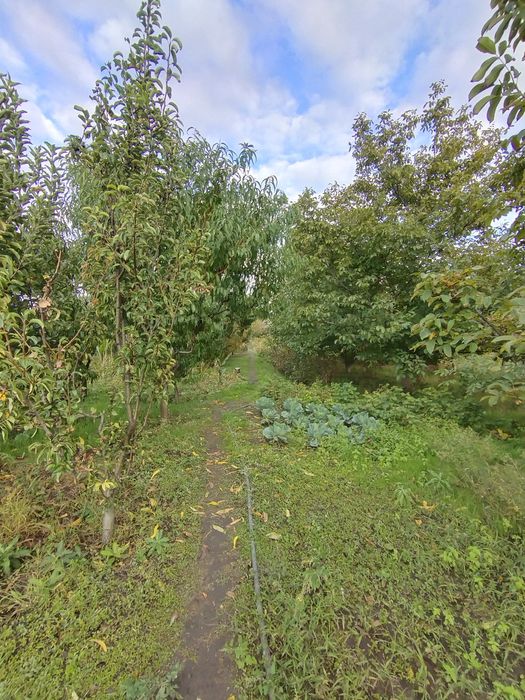 Продается Дом в Безопасном месте недалеко от речки