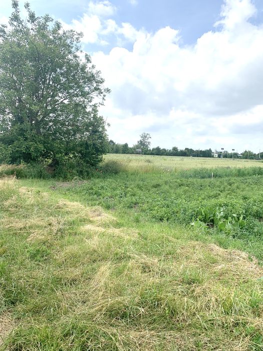 $ Продаж земельної ділянки в с. Грушвиця Друга