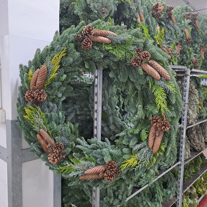 Gałęzie jodly nobilis i nordman oraz wianki