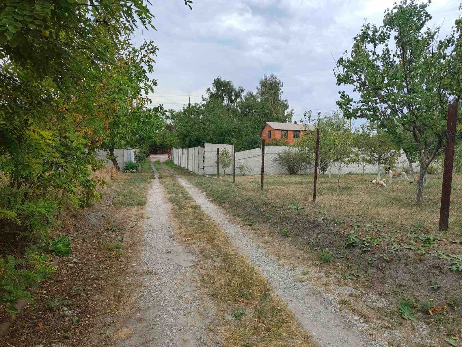 Земельна ділянка неподалік смт.Партизанське біля р.Оріль
