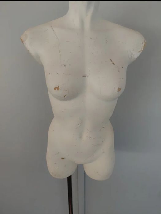 Manequim - torso feminino