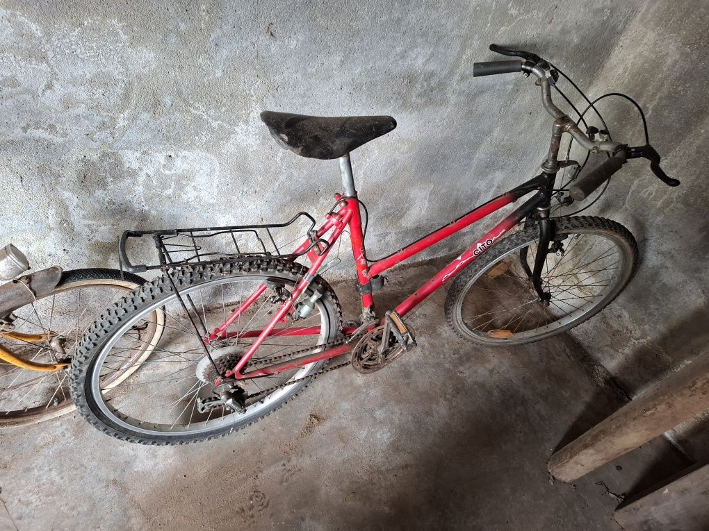 Bicicletas para restauro