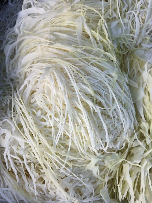 Kapusta szatkowana najlepsza na kiszenie