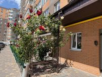 Продаж квартири. Вінниця,  Набережний квартал.