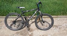 Rower górski Cycle Wolf