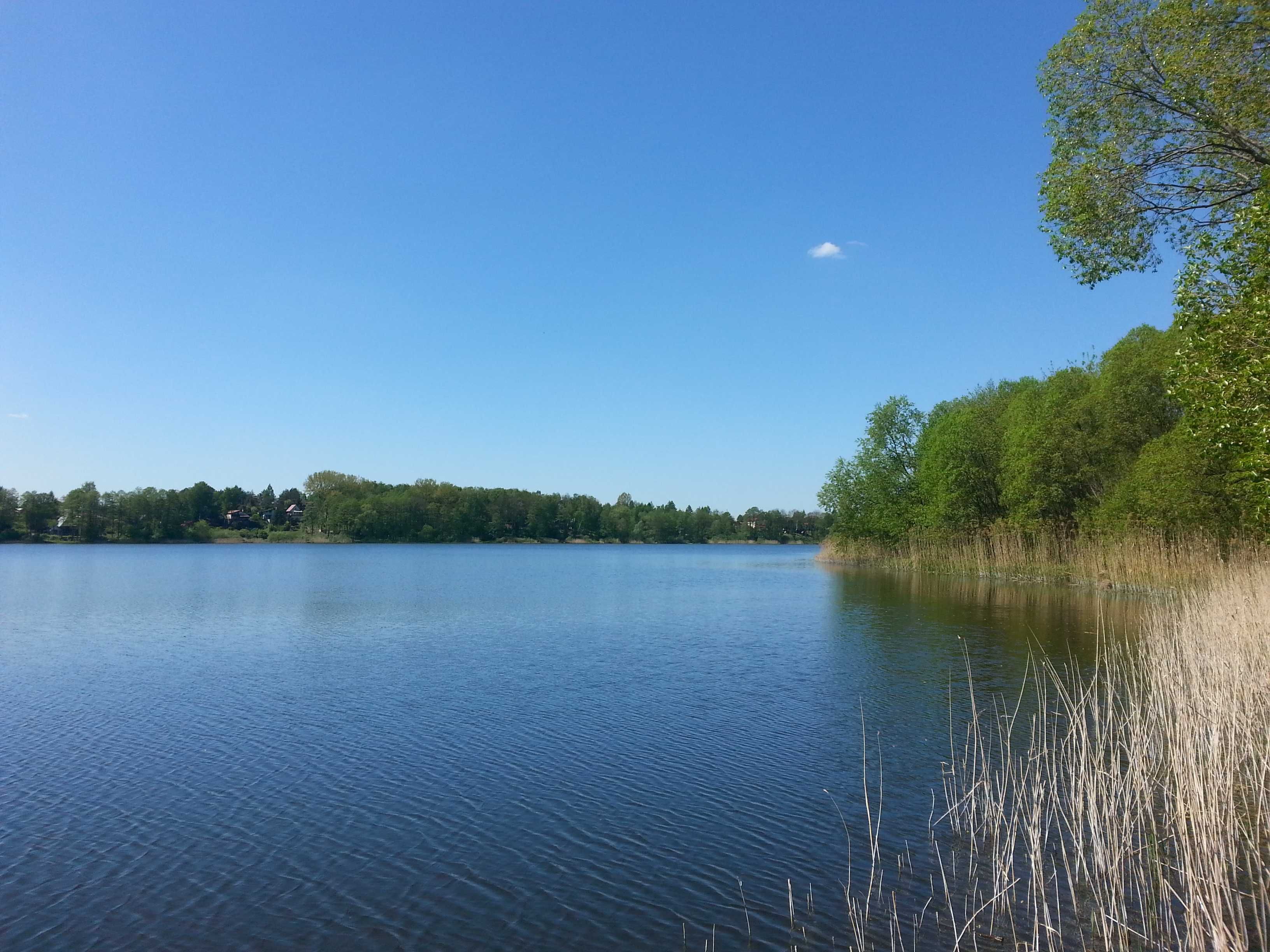 urlop 2024 Domek nad jeziorem , Chodecz, Ługowiska Wolne terminy