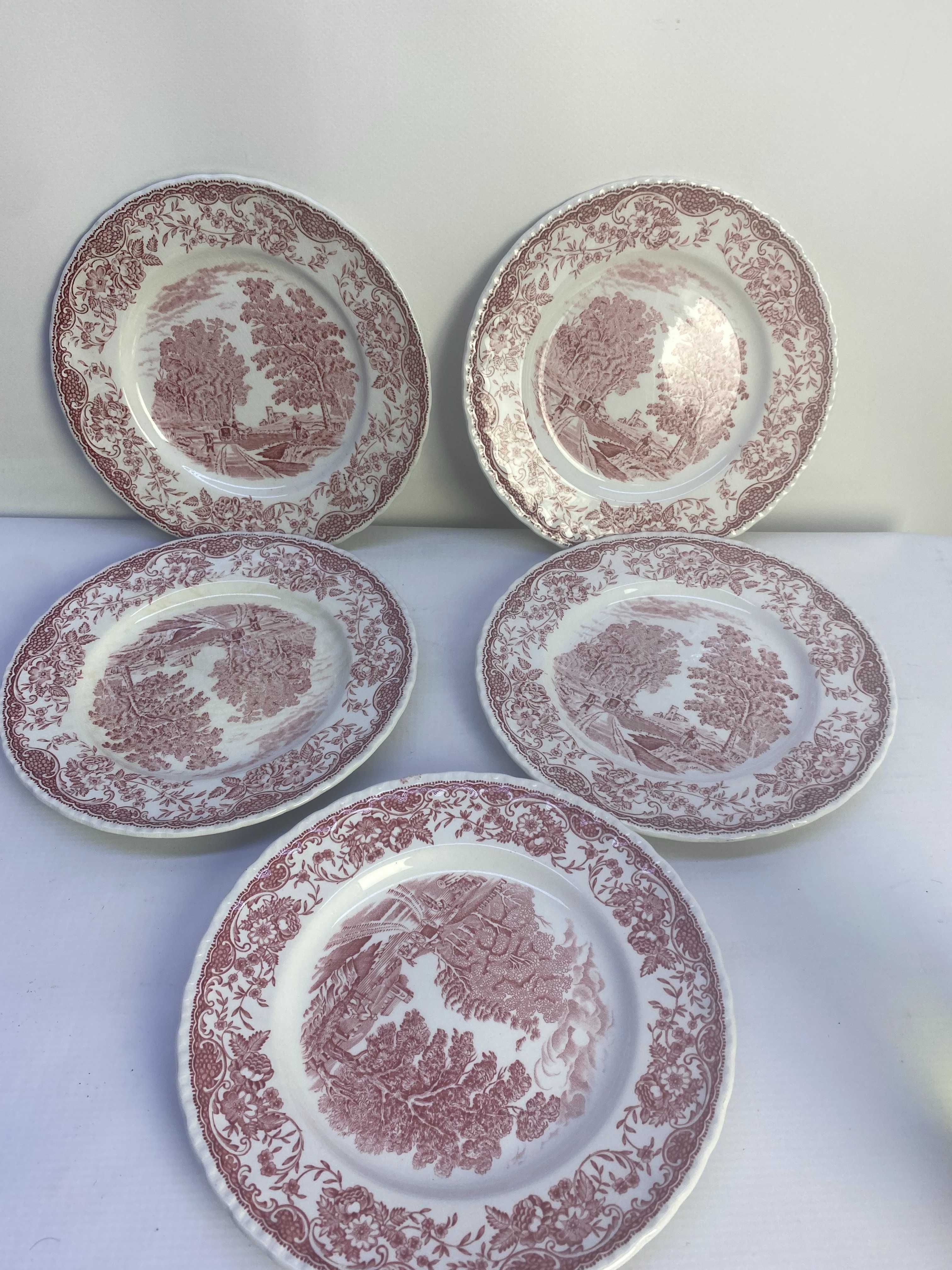 angielska porcelana royal tudor ware talerze 20cm