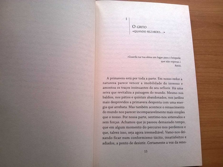 Pai-nosso que Estais na Terra - José Tolentino Mendonça