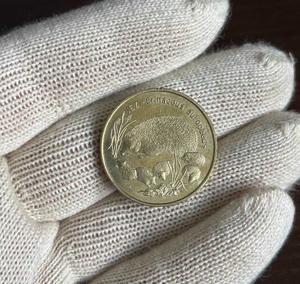 2 Złote Jeż 1996 NG Moneta