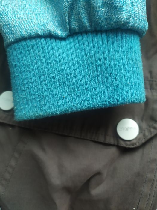 Вітровка підліткова