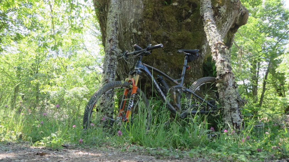 Canyon Nerve AL 9.9 SL