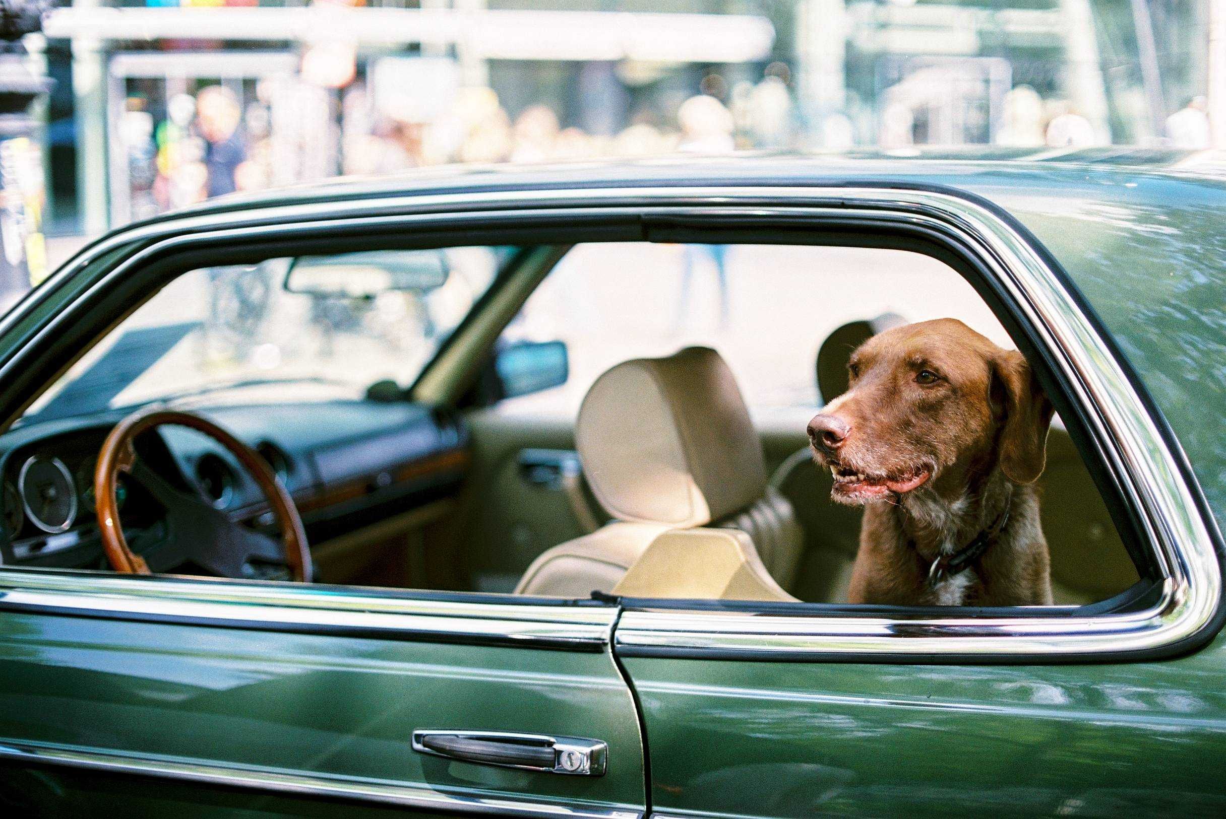 Фотокамера Canon F1 з Об'єктивом Canon FD 50mm f1.4 S.S.C