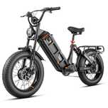 eAhora juliet 3 (dual motor) bicicleta elétrica