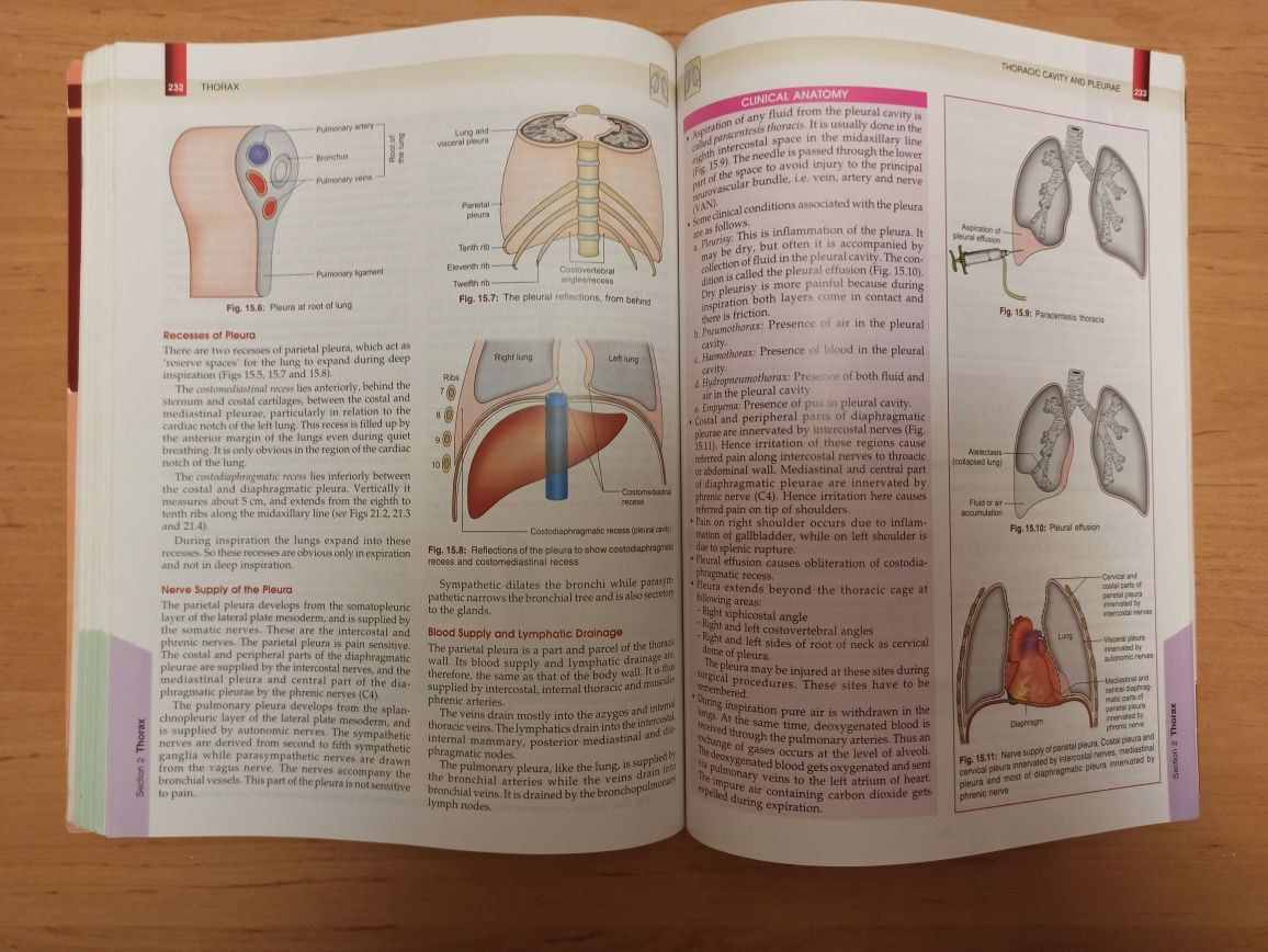 B D Chaurasia Anatomy Анатомия 6 edition Чаурасия