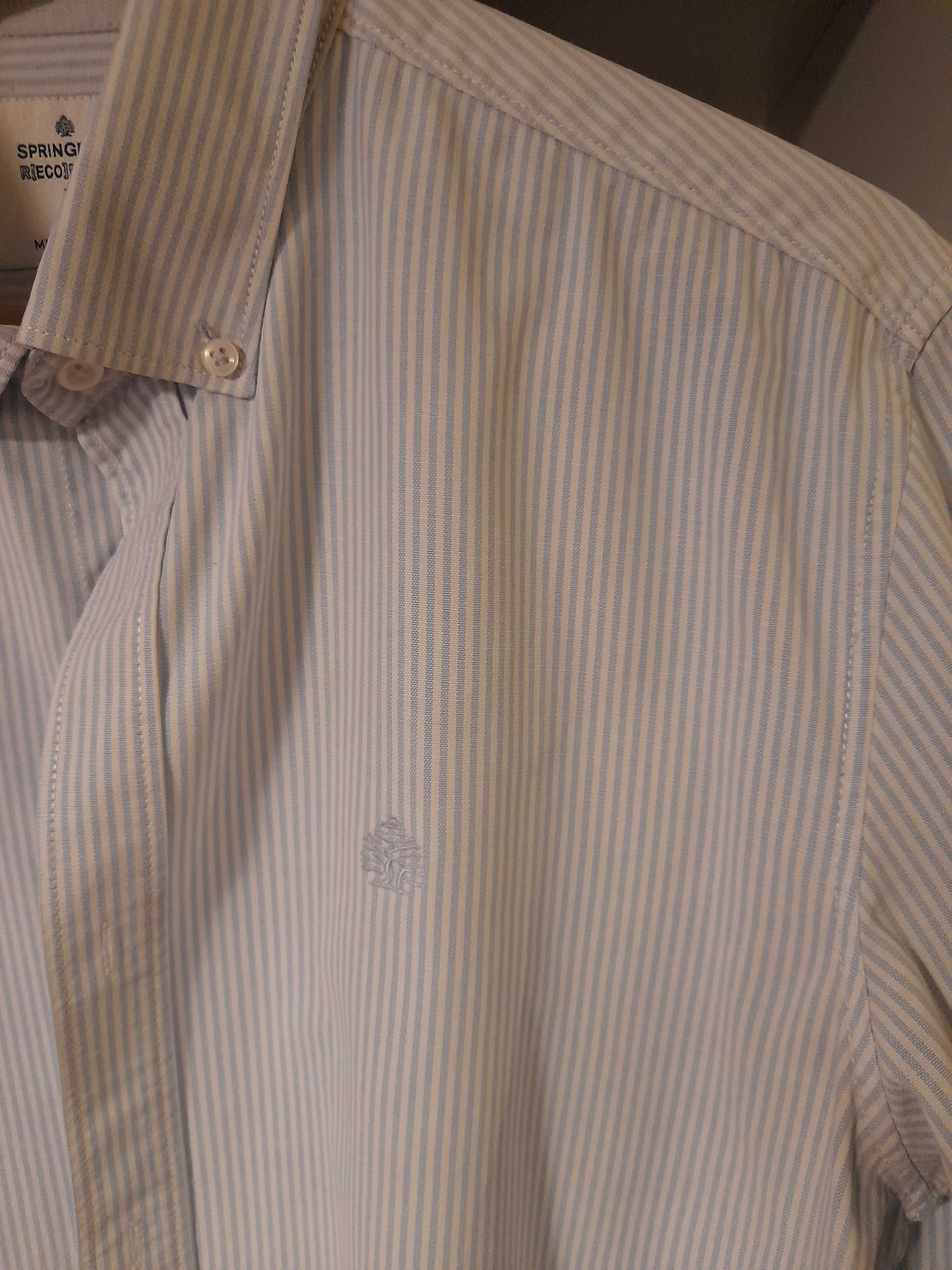 Springfield - Camisa pinpoint riscas