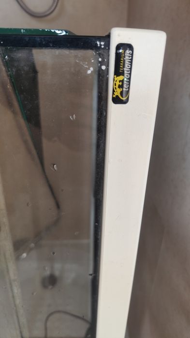 Terrário tartaruga grande ou repteis