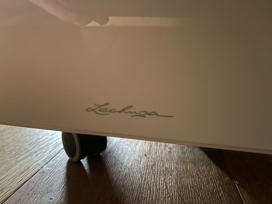 Duża donica z rośliną – zakupiona w Niemczech