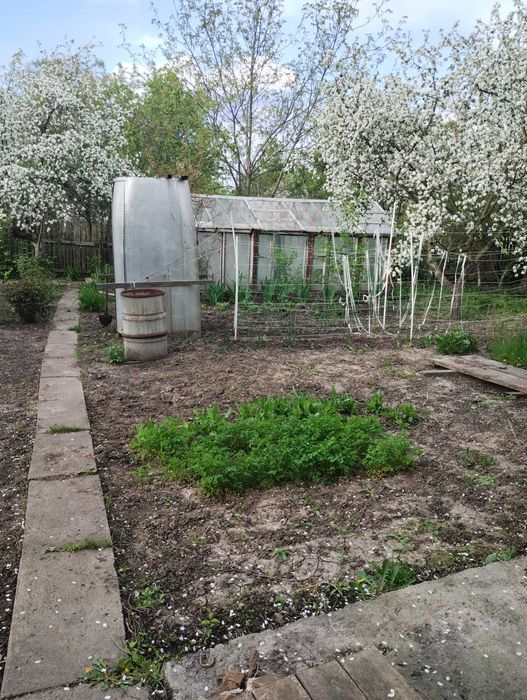 Будинок у місті з великим участком.