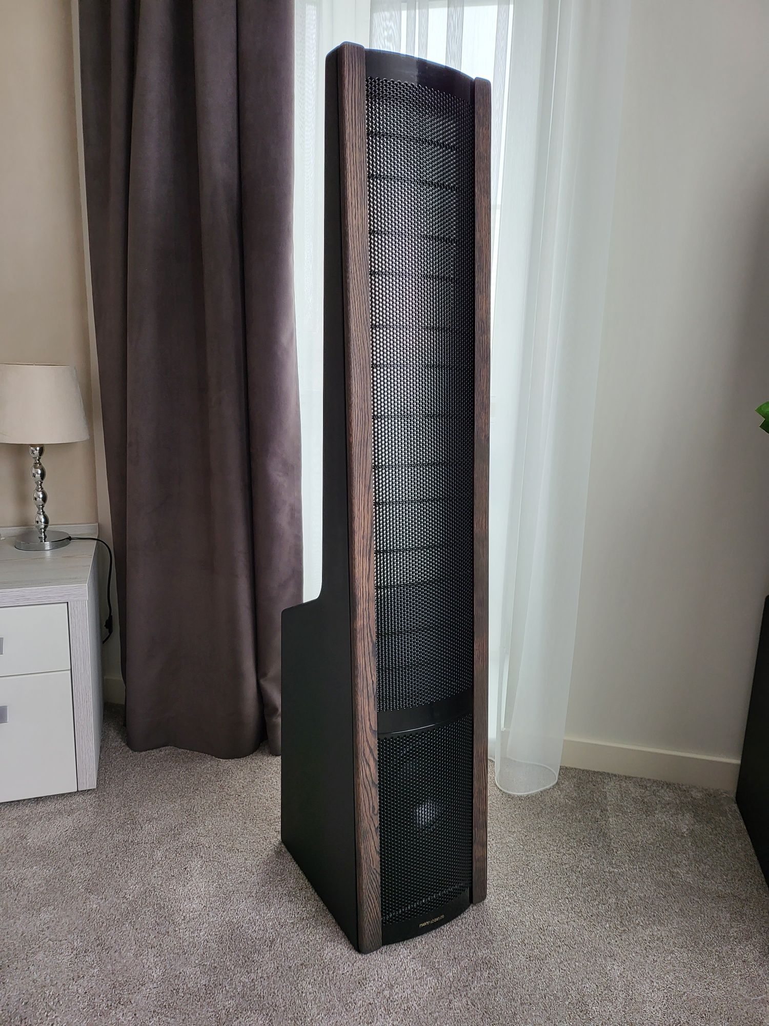 Martin Logan Aerius i