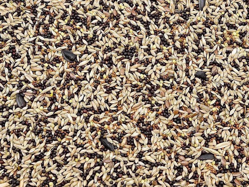 5kg Karma dla kanarka pełnoporcjowy pokarm dla kanarków i drobnej egzo