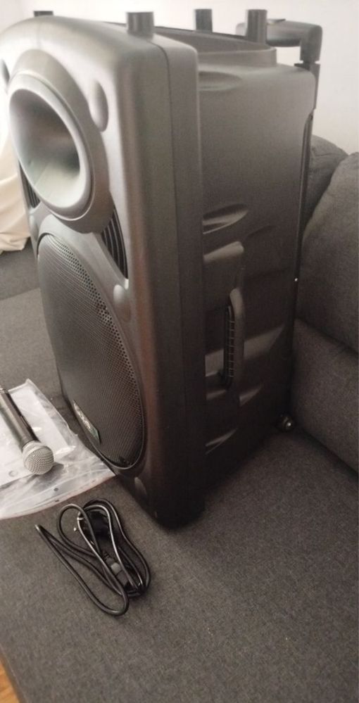 Coluna IBIZA 15”