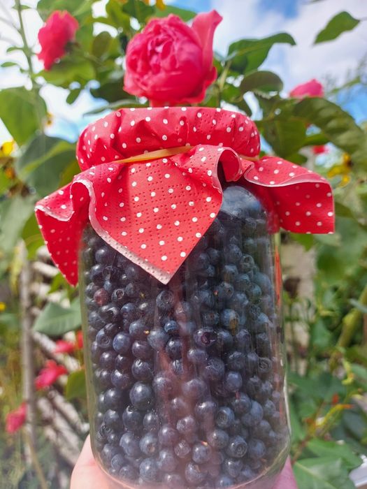 5x315ml domowy dżem jagodowy dżem z jagód konfitura