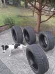 opony 4xpirelli zimowe 205/55/16