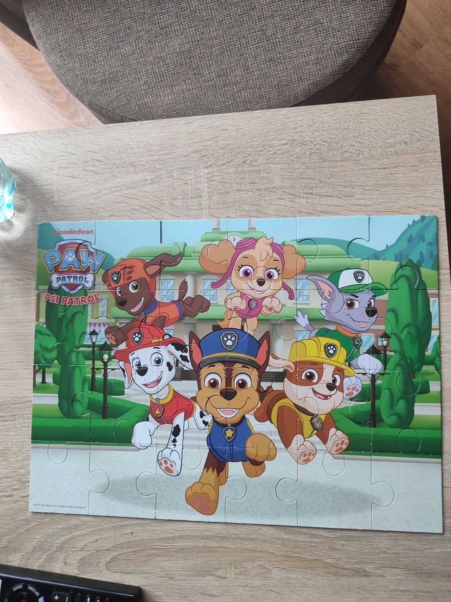 Puzzle psi patrol duze