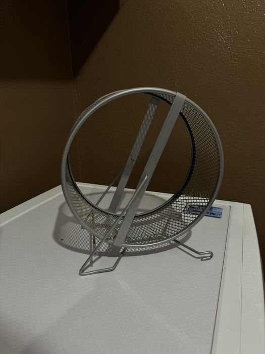 Kołowrotek dla gryzonia