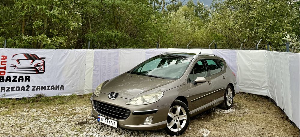Peugeot 407 2.2 > LPG > Hak > 2007 > Klima > Panorama > Alufelgi