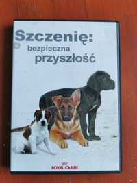 Film DVD "Szczenię - bezpieczna przyszłość"