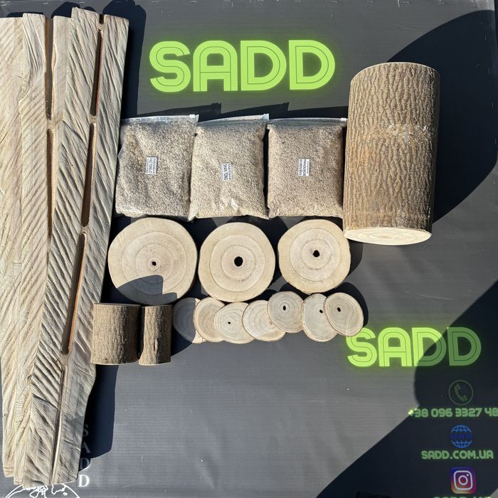 Декоративна Павловнія Shan Tong. Павловния ширина стовбура 1см