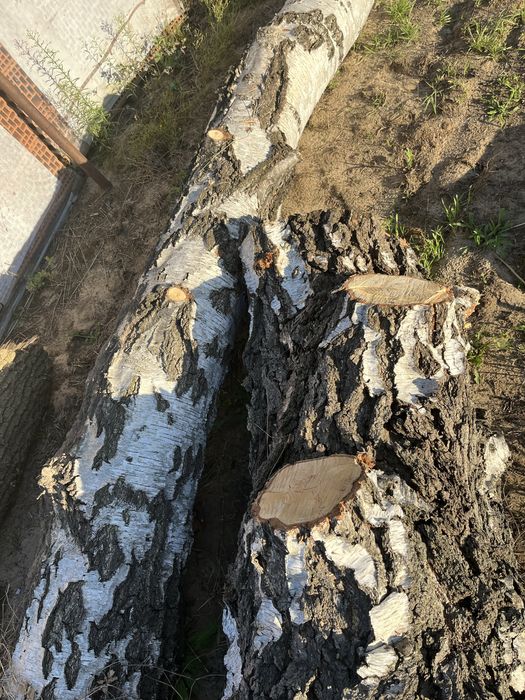 drewno tartaczne kominkowe opałowe paletowe