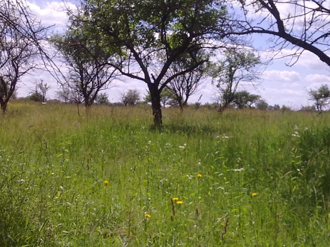 ТЕРМІНОВО продам земельну ділянку для будівництва