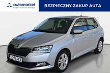 Skoda Fabia SK761XX #