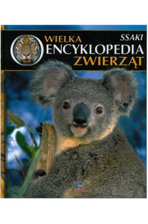 Sirup szary płaszc roz 42 j nowy Gratis encyklopedia zwierząt