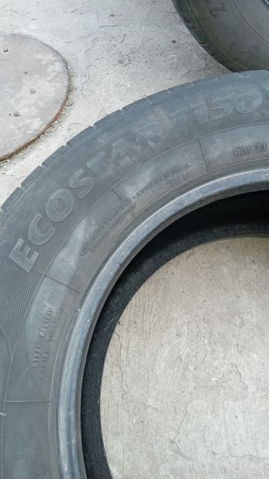 Шини (гума)літні