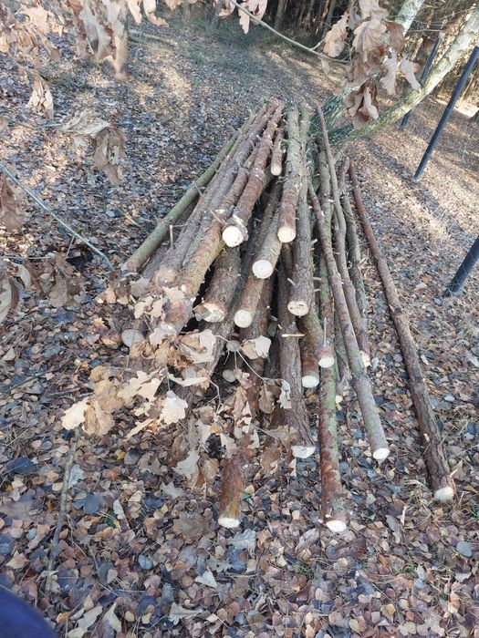 Stemple budowlane NOWE