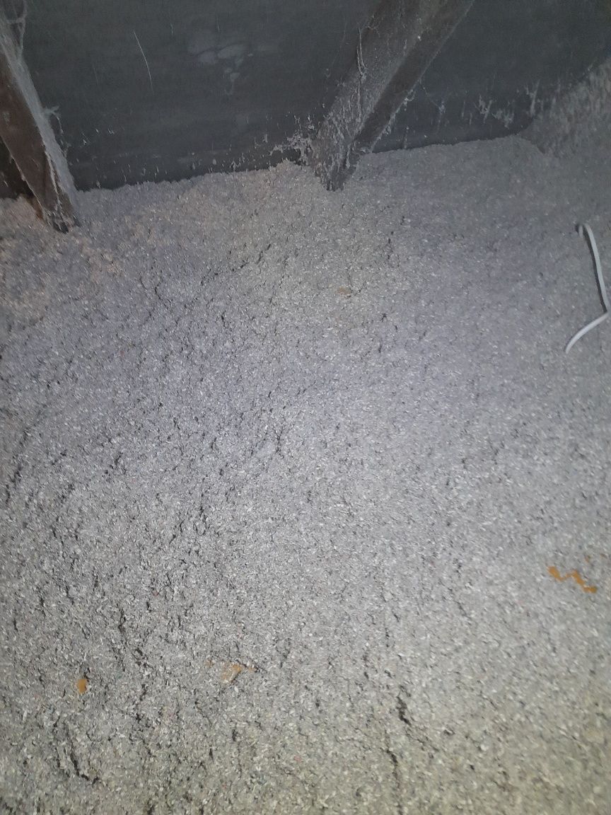 Wdmuchiwanie celulozy, adaptacje poddaszy, badanie kamerą termowizyjną