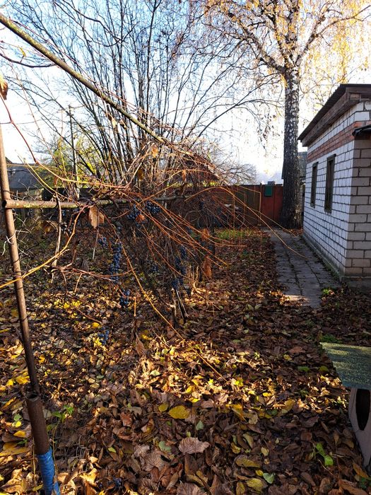 Продається будинок із усіма зручностями