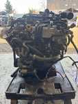 Golf Leon a3 octavia 1.6 tdi CXX B CXXB silnik konpletny