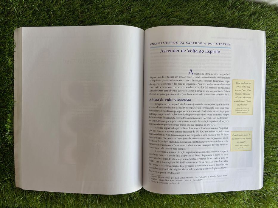 Livro "A Busca Espiritual" de Elizabeth e Mark Prophet