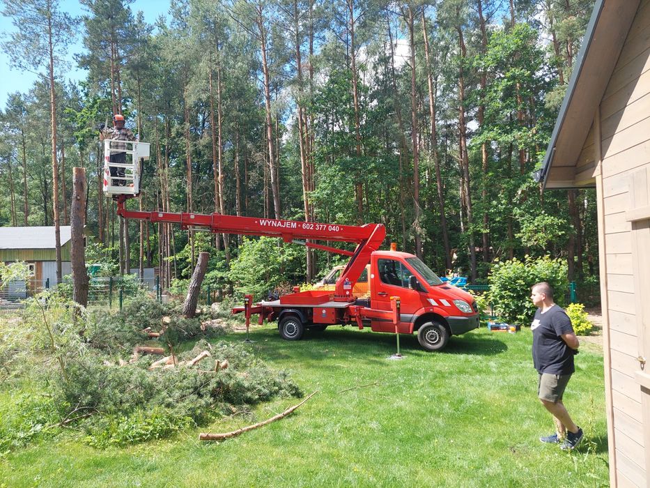 Wynajem/Usługi Rębakiem  Wycinka Drzew  Podnośnik 22m Mielenie gałęzi