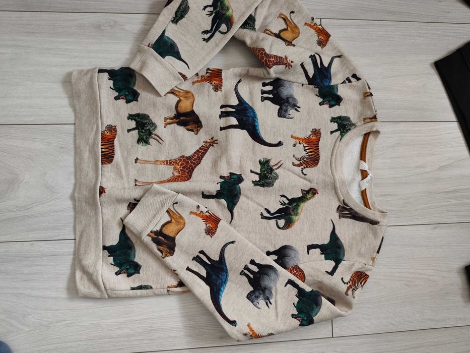 Spodnie bluzy t-shirty chłopak 134