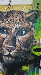 Bordalo II - Leopard Special Edition