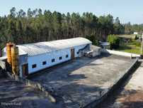 Armazém Industrial em excelente estado de conservação com terreno c...