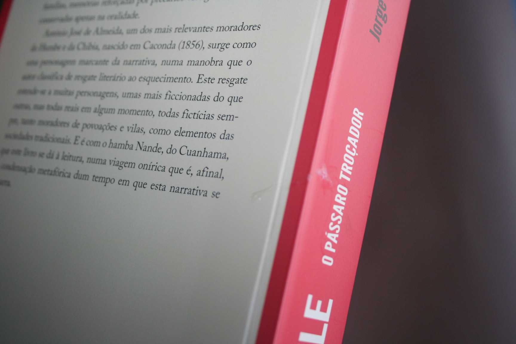 [] Cuéle - O Pássaro Troçador, de Jorge Arrimar