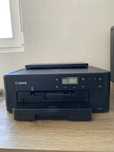 Принтер Canon PIXMA TS704a
