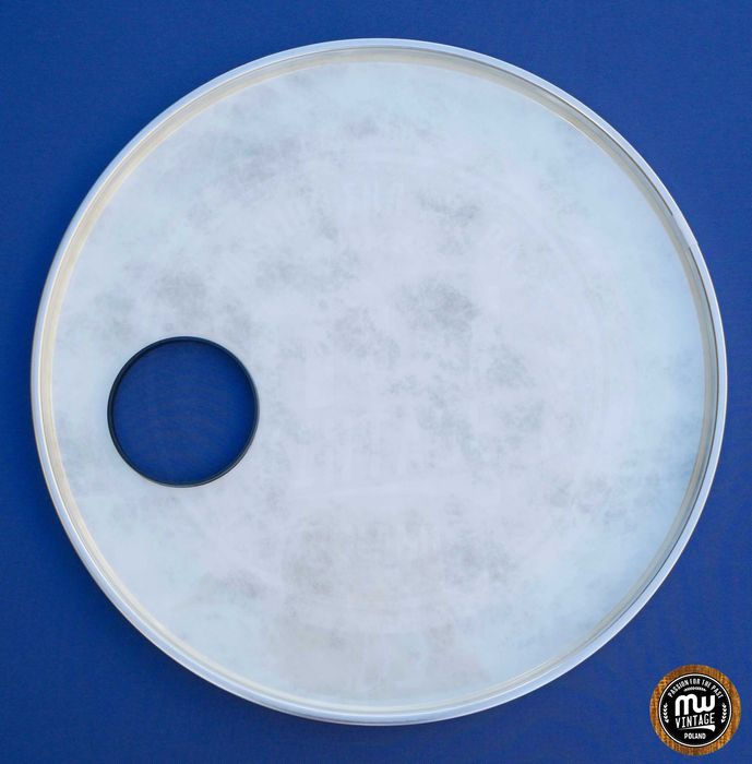 Evans - naciąg Pearl Calftone EQ4 + O-ring 22" ‼️